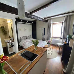 Au Coeur Du Vieil Apartment